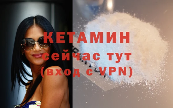 гашик Осташков