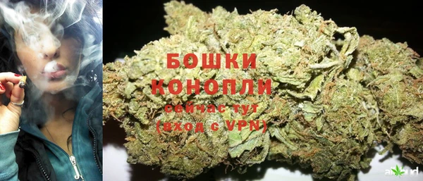 тгк Богородицк
