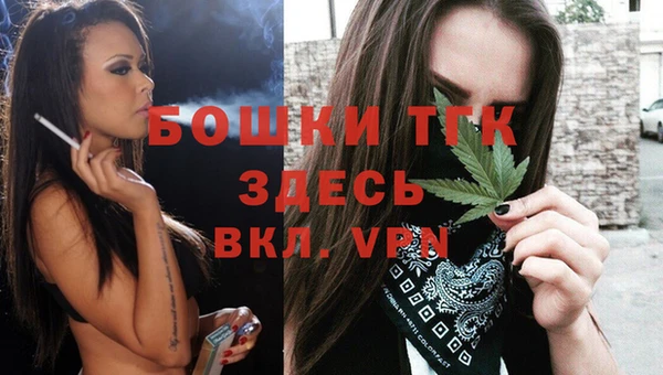 тгк Богородицк