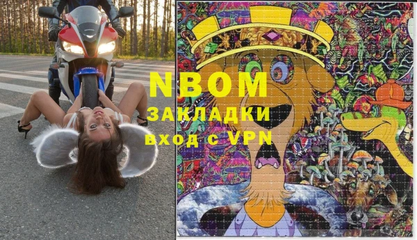 гашик Осташков