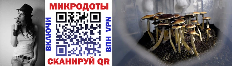 Псилоцибиновые грибы Cubensis  Очёр 